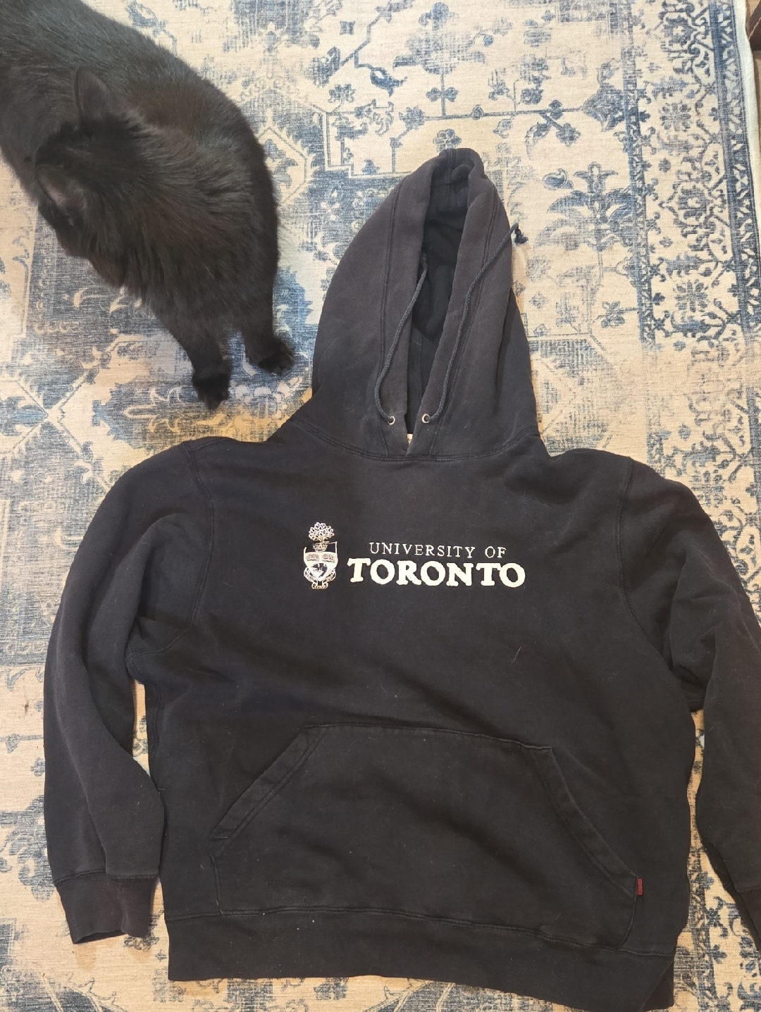 University Of Toronto Men's Black Hoodie Sweatshirt